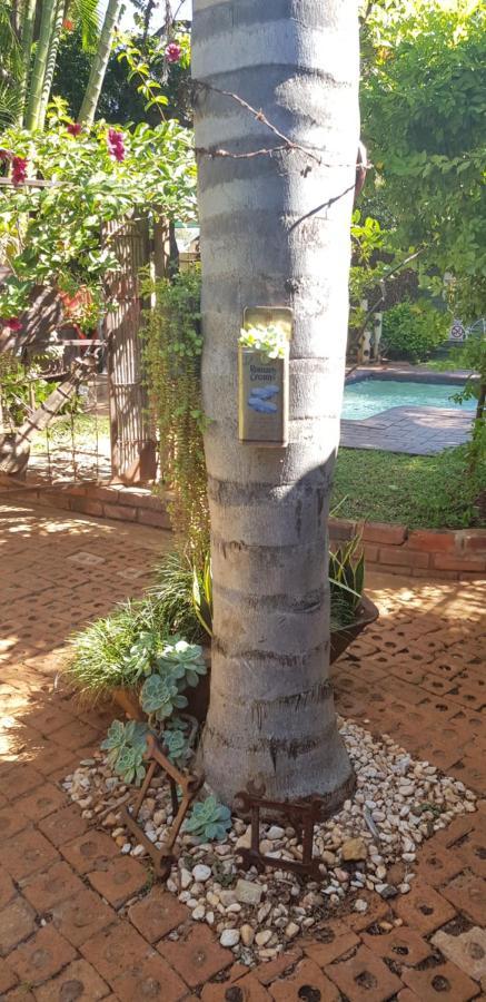 Africas Eden Guesthouse Mookgophong Eksteriør billede