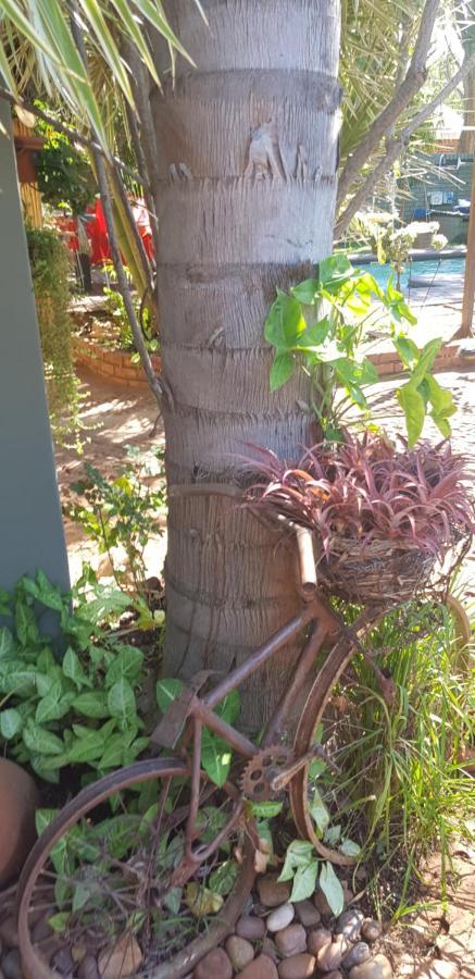 Africas Eden Guesthouse Mookgophong Eksteriør billede